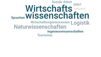 Fächer im Fokus der Internationalisierungsstrategien