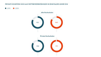 Private schätzen sich als wettbewerbsfähiger in (digitaler) Lehre ein (Grafik)